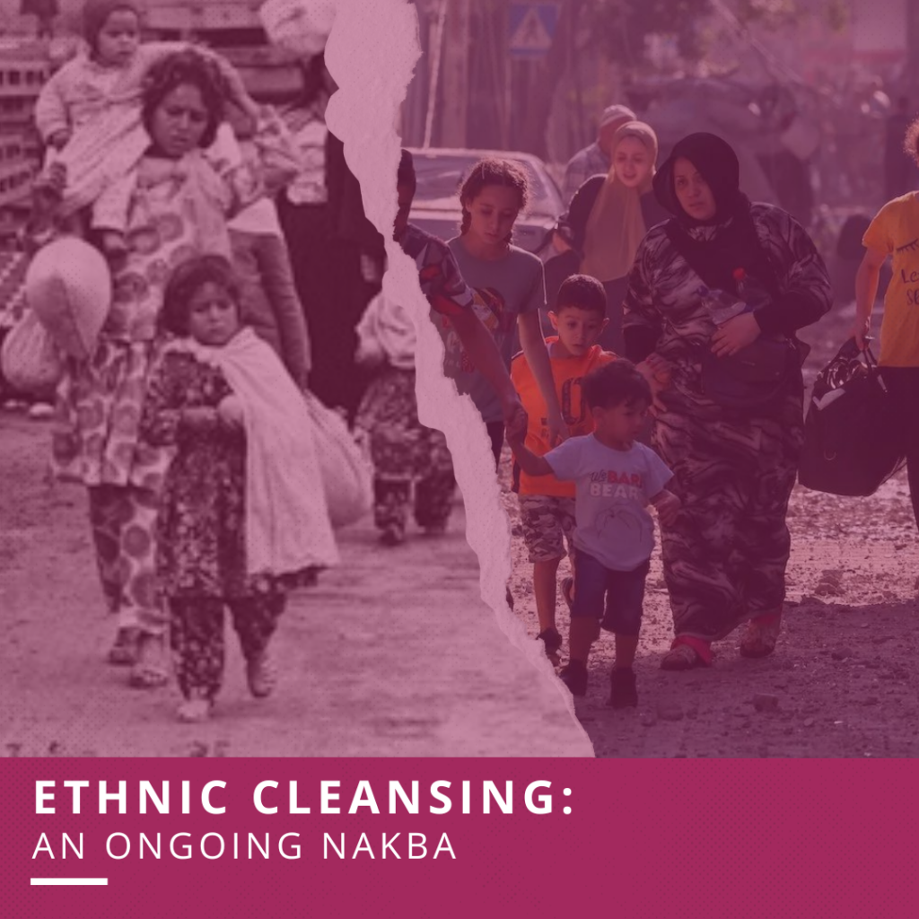 Explainer-Ethnic-Cleansing-Instagram-Post