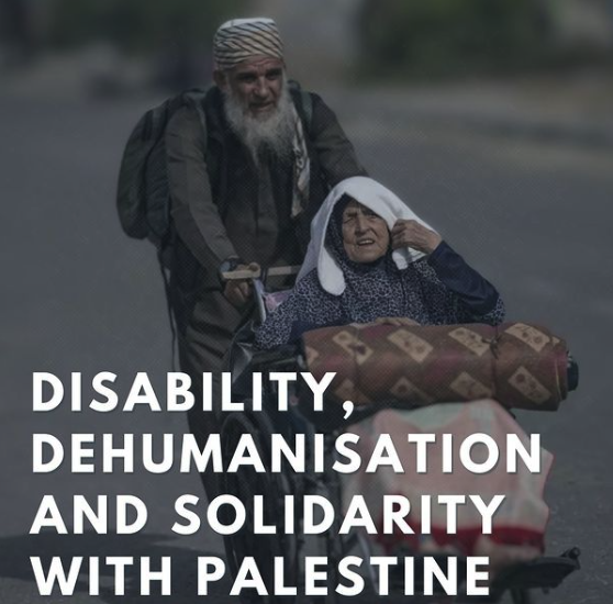 Disability, Dehumanization and Solidarity with Palestine