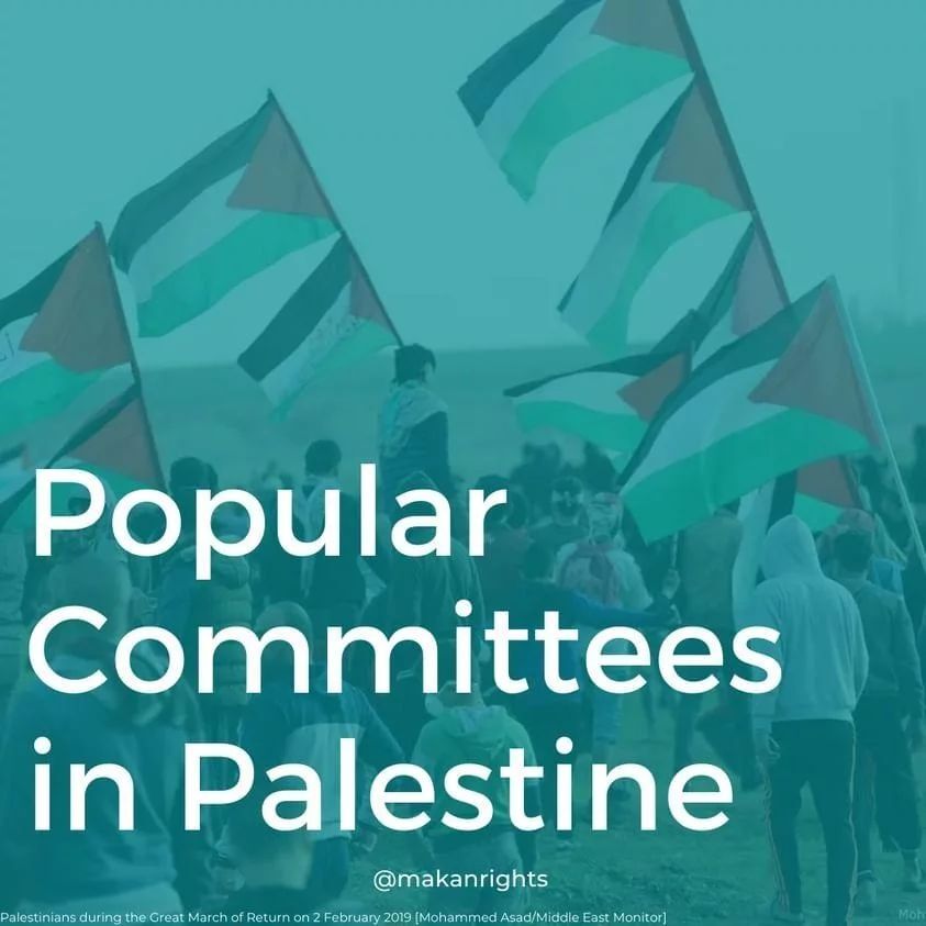 Popular Committees in Palestine